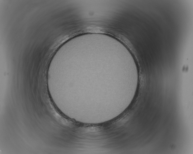 X0000114620433200911171101