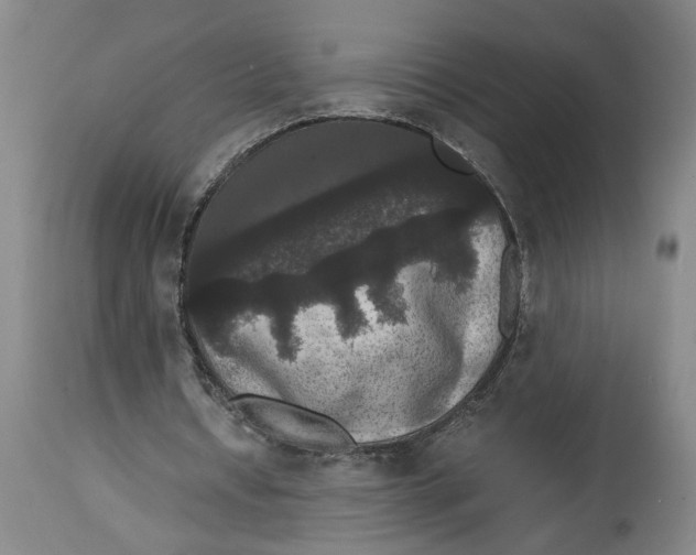 X0000114620434200911171101