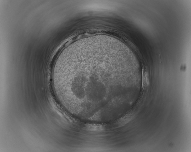 X0000114620435200911171101