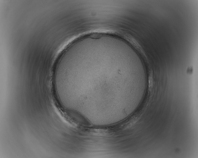 X0000114620436200911171101