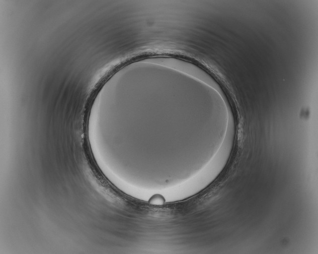 X0000114620438200911171101