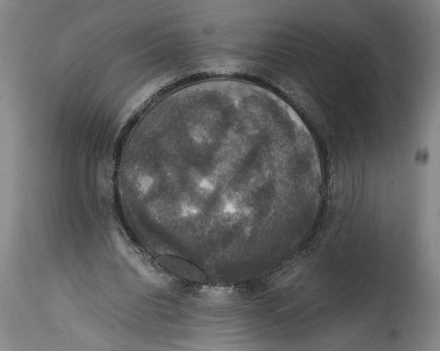 X0000114620440200911171101