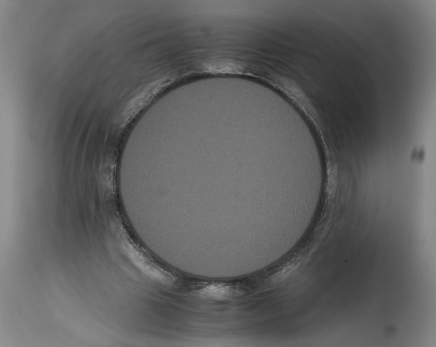 X0000114620441200911171101