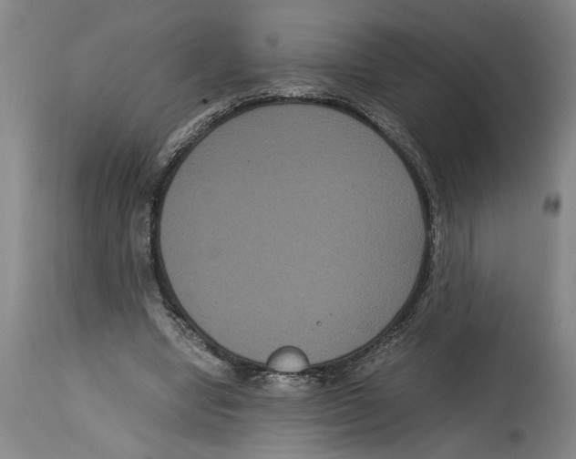 X0000114620442200911171101