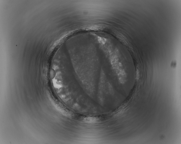 X0000114620444200911171101