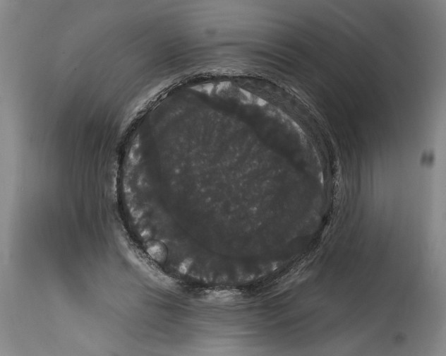 X0000114620446200911171101