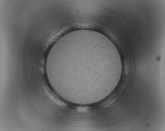 X0000114620450200911171101