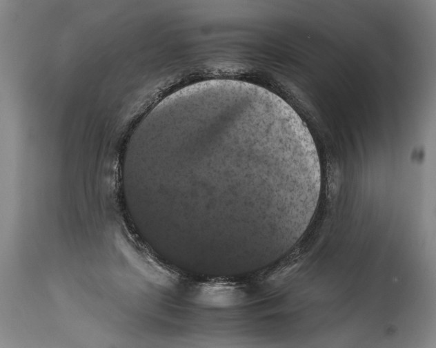 X0000114620451200911171101