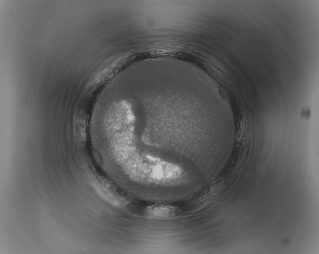 X0000114620452200911171101