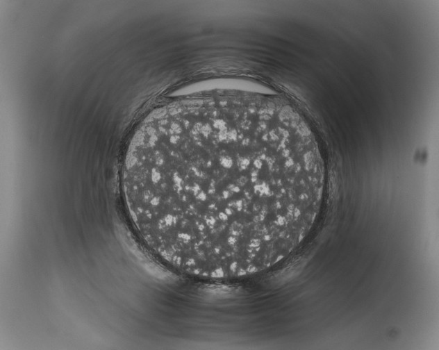 X0000114620453200911171101