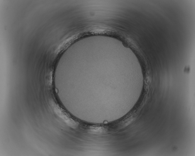 X0000114620454200911171101