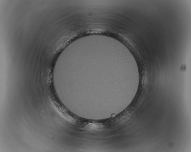 X0000114620455200911171101