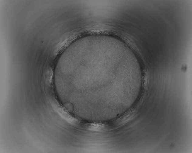 X0000114620458200911171101