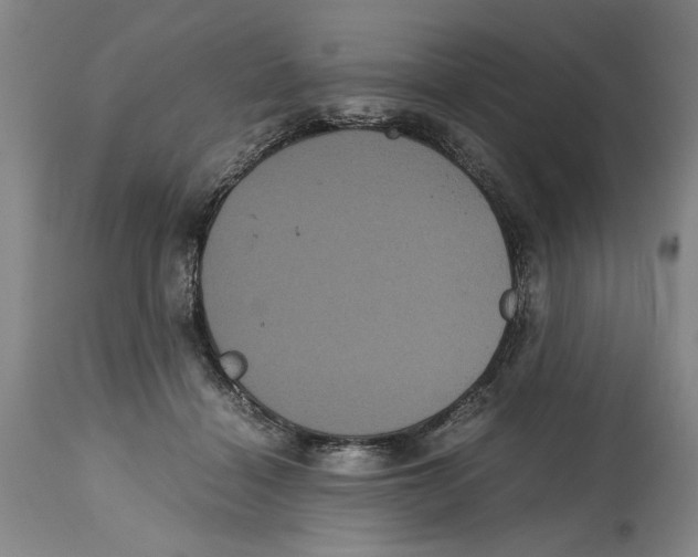 X0000114620460200911171101