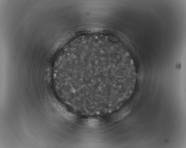 X0000114620462200911171101