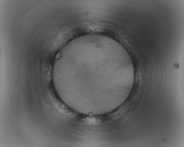 X0000114620464200911171101