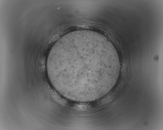 X0000114620466200911171101