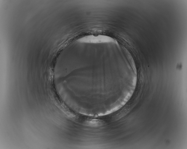 X0000114620467200911171101