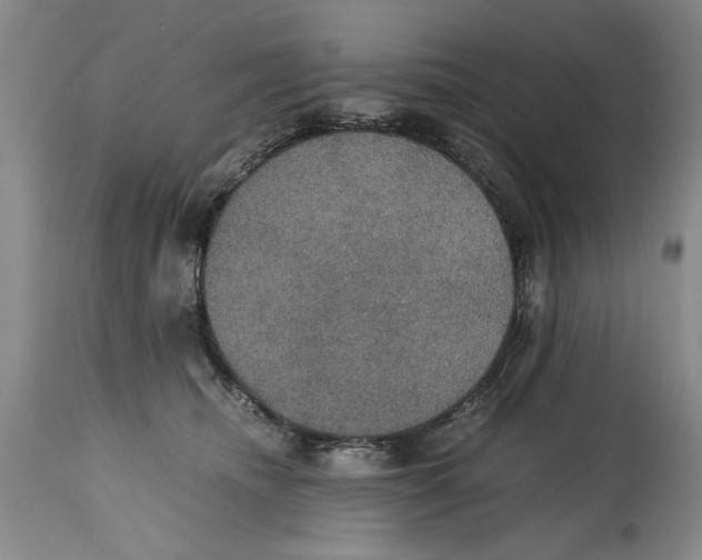 X0000114620468200911171101