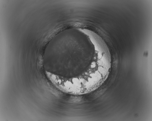 X0000114620469200911171101