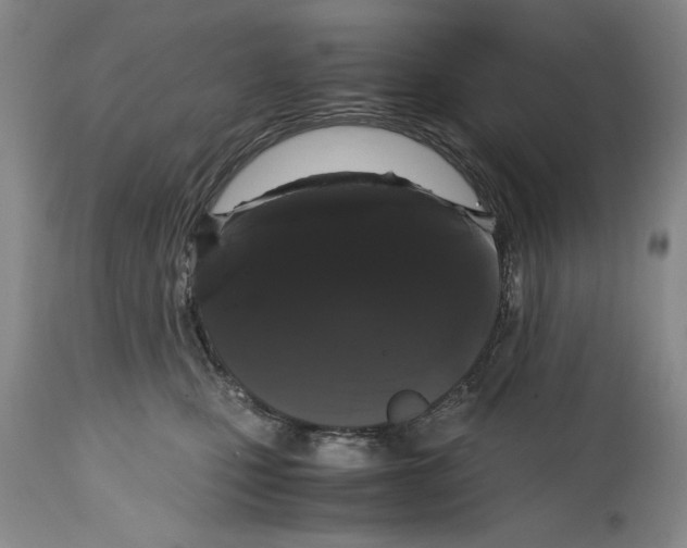 X0000114620471200911171101