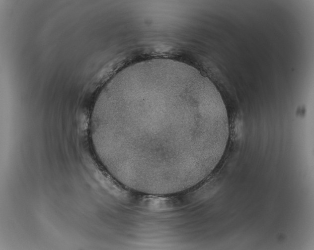 X0000114620472200911171101