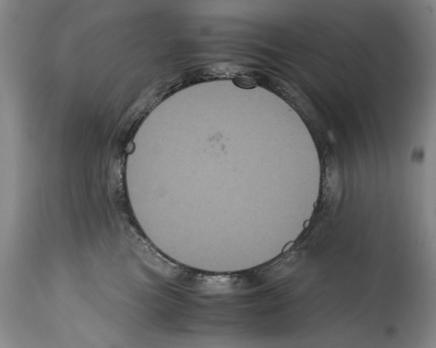 X0000114620473200911171101