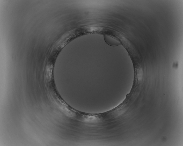 X0000114620475200911171101