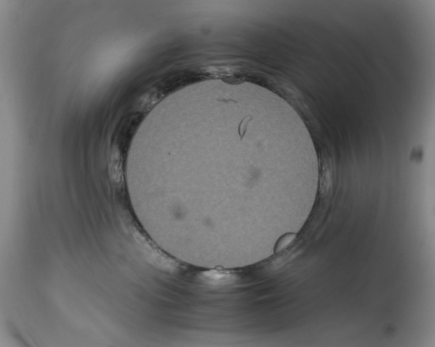 X0000114620477200911171101