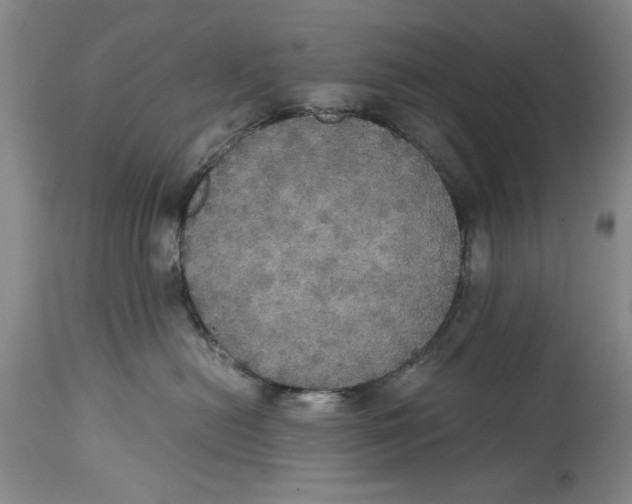 X0000114620478200911171101