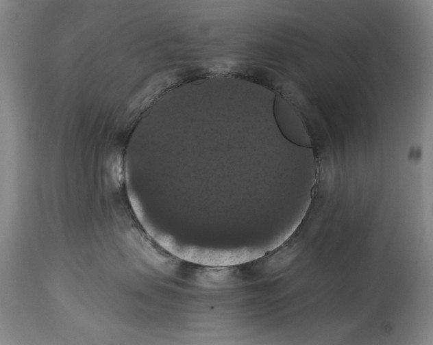 X0000114620479200911171101