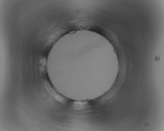 X0000114620480200911171101