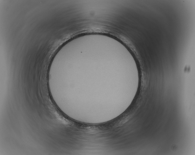 X0000114620481200911171101