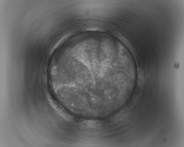 X0000114620482200911171101