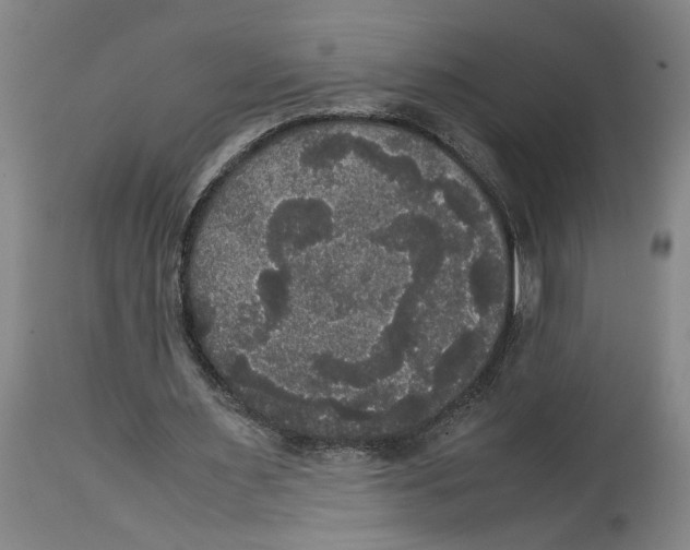 X0000114620483200911171101