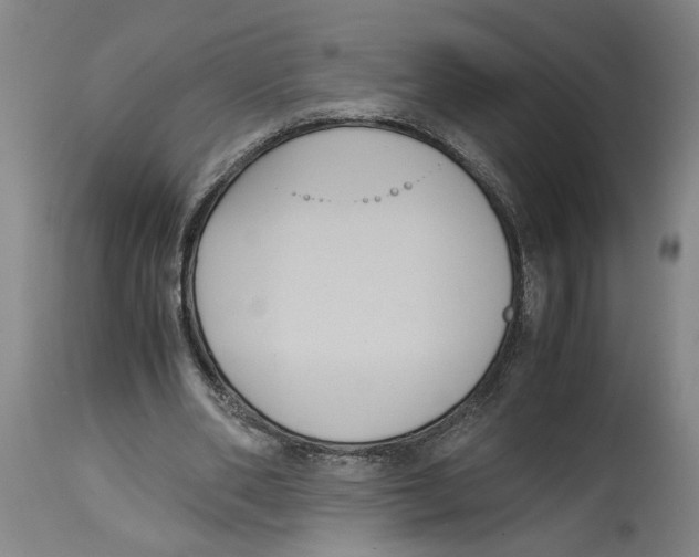 X0000114620486200911171101