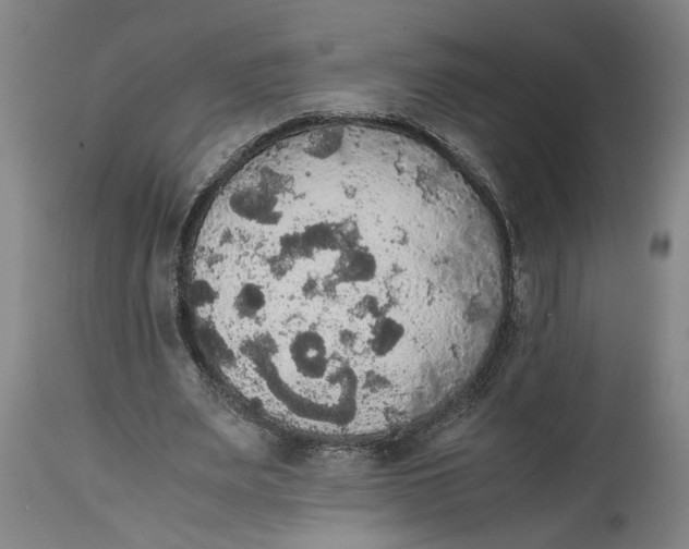 X0000114620487200911171101