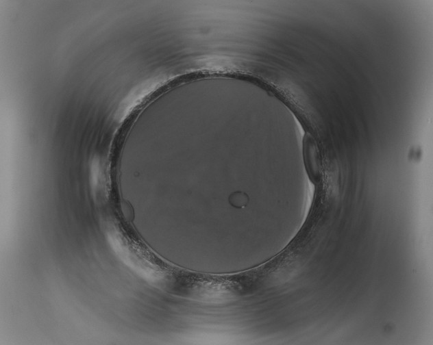 X0000114620488200911171101