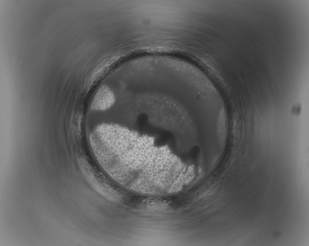 X0000114620491200911171101