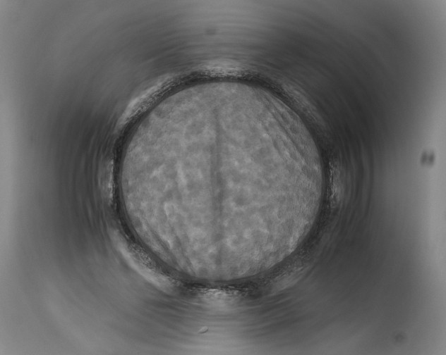 X0000114620494200911171100