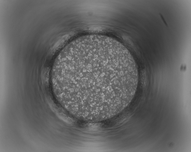 X0000114620495200911171100