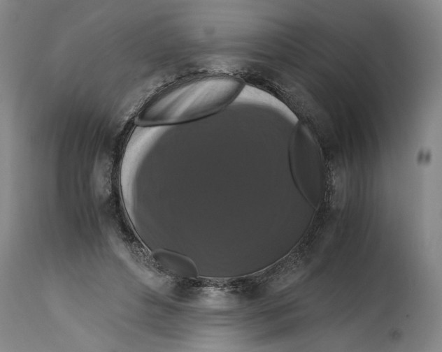 X0000114620496200911171100