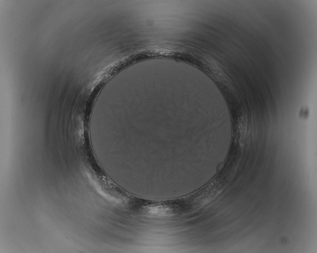 X0000114620500200911171100