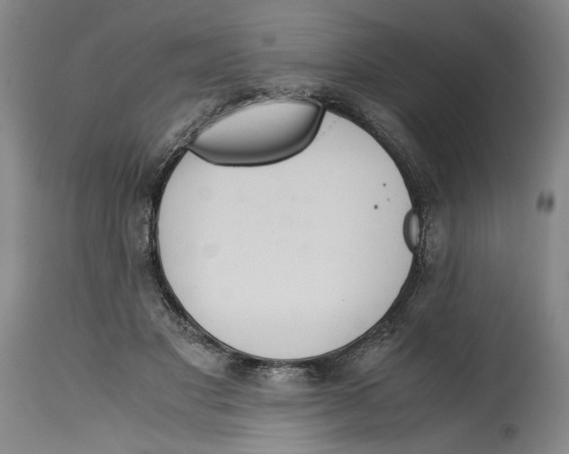 X0000114620501200911171100