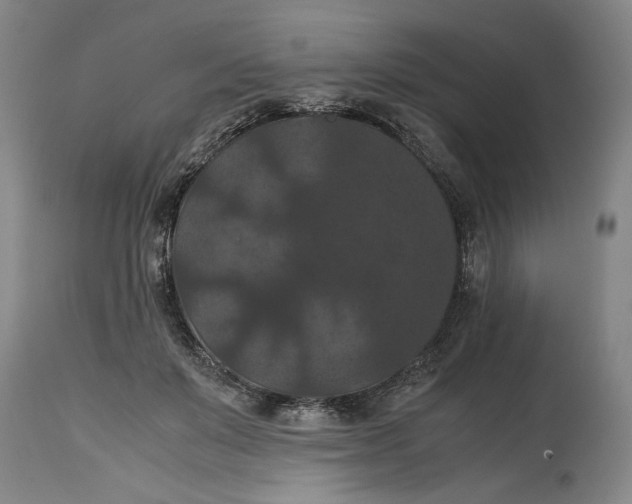 X0000114620503200911171100