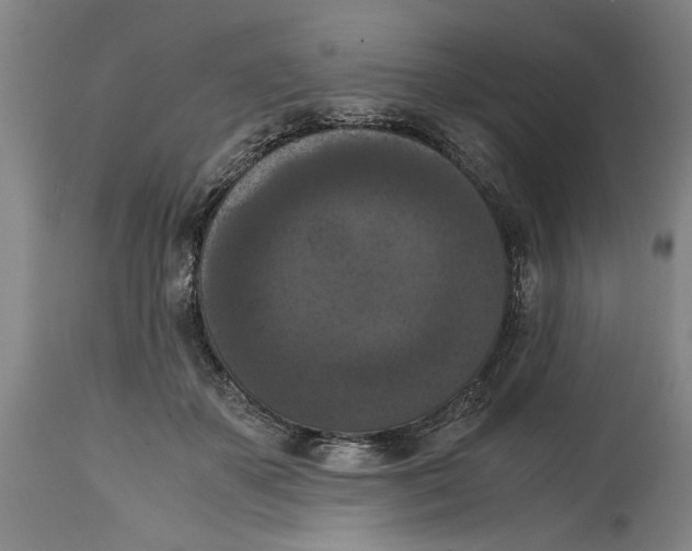 X0000114620507200911171100