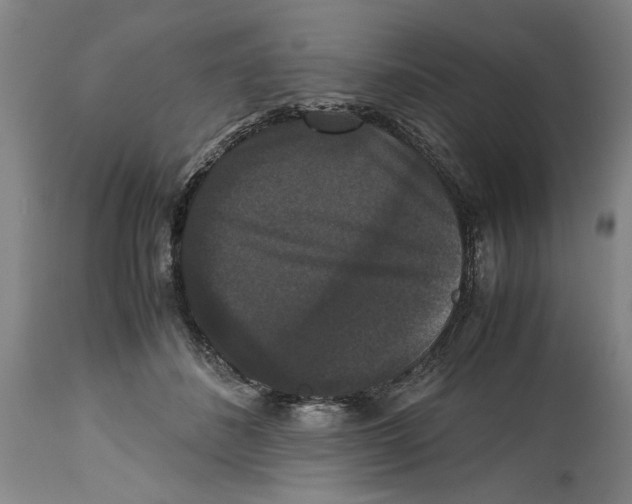 X0000114620508200911171100