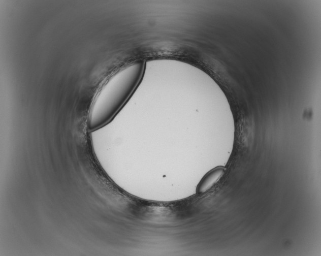 X0000114620509200911171100