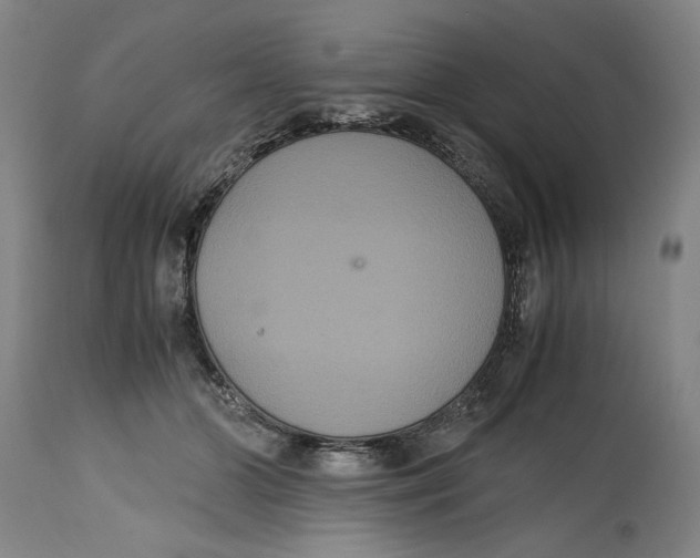 X0000114620510200911171100