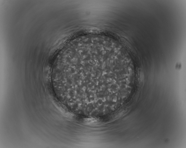 X0000114620511200911171100